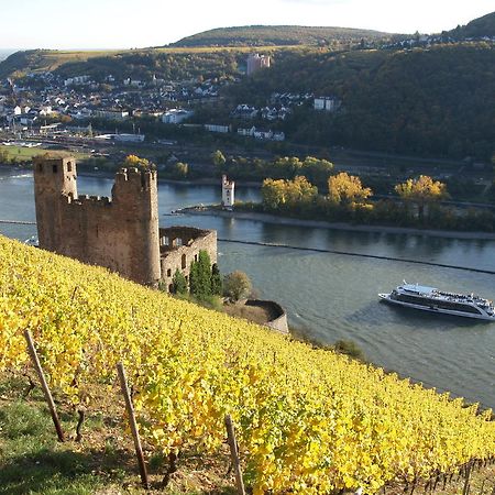 Hotel Lindenwirt Ruedesheim am Rhein Luaran gambar