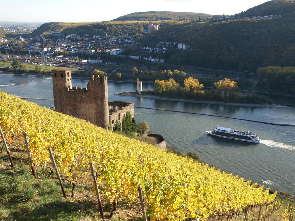 Hotel Lindenwirt Ruedesheim am Rhein Luaran gambar